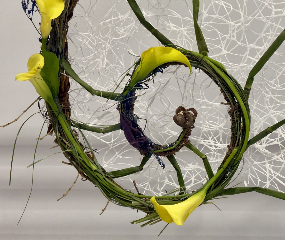 Roditski Debra What a tangled web Pictorial   Class B 20260415